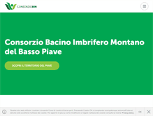 Tablet Screenshot of consorziobim.com